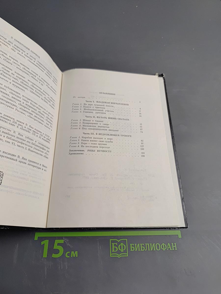 Писатель-историк В.ЯН. Очерк творчества