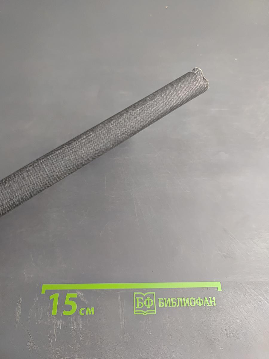 Писатель-историк В.ЯН. Очерк творчества