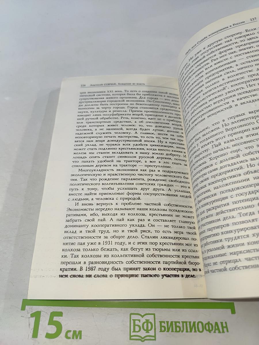 Хождение во власть