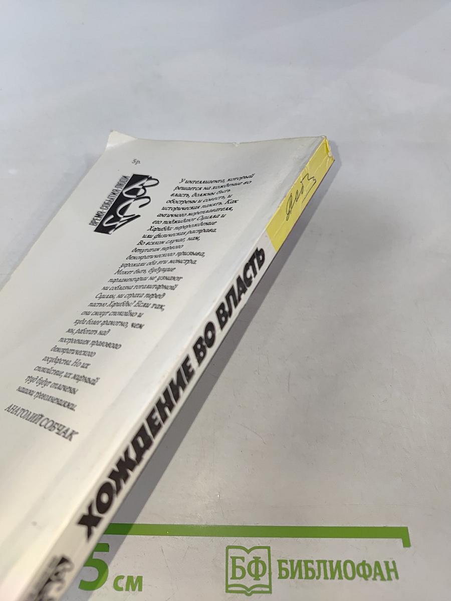 Хождение во власть