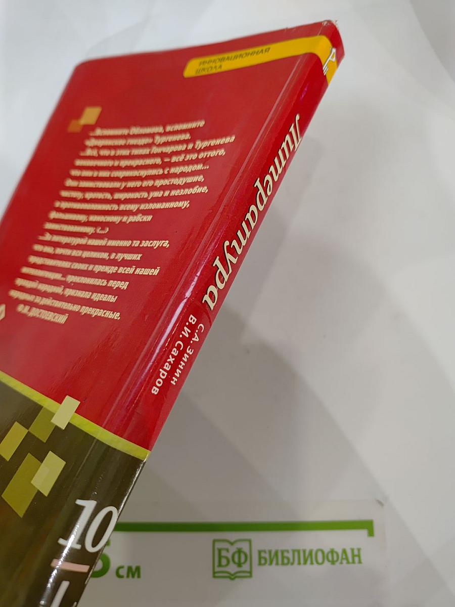 Литература 10 класс. Часть I. Базовый уровень