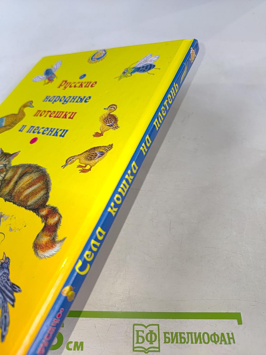 Села кошка на плетень. Русские народные потешки