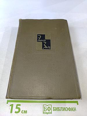 Разгром (Собрание сочинений, Том пятнадцатый)