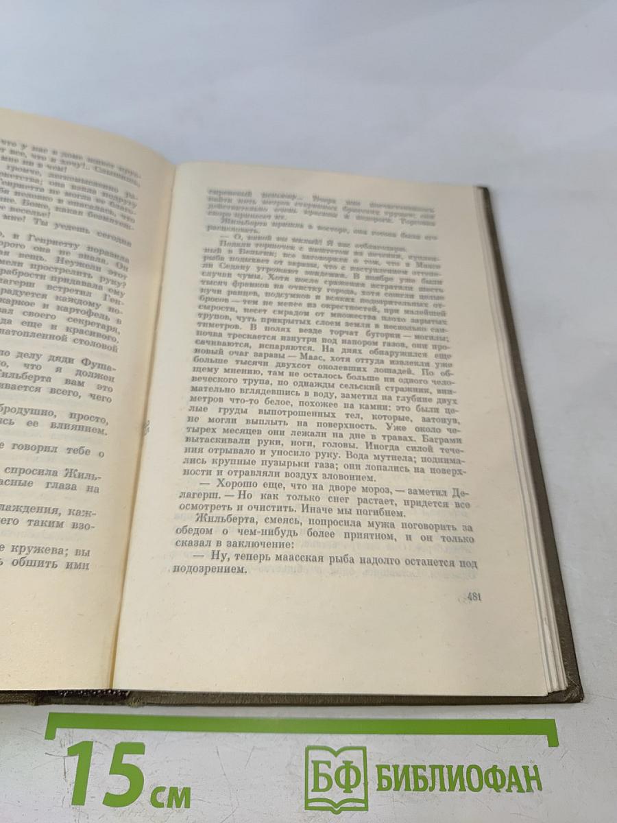 Разгром (Собрание сочинений, Том пятнадцатый)