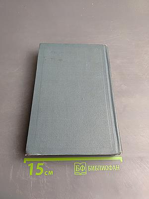 Война и мир. Том третий