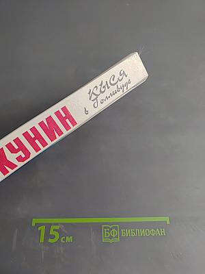 Кися в Голливуде. Часть II. Возвращение из рая