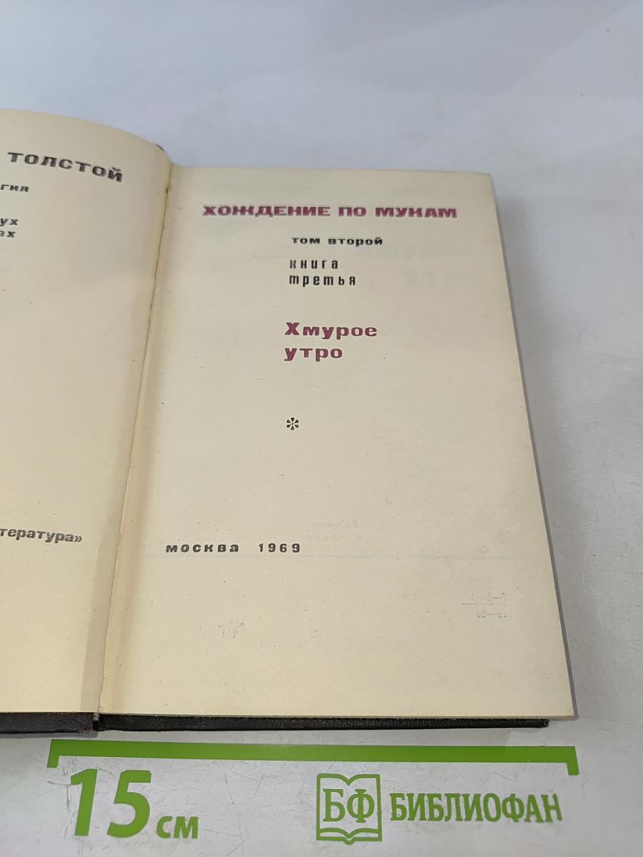 Хождение по мукам. Том второй. Книга третья. Хмурое утро