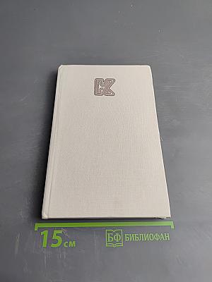 Teoretické problémy socialistického realismu