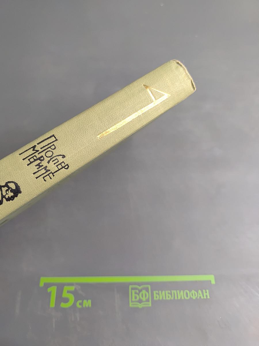 Собрание сочинений в шести томах. Том 4: Путевые очерки