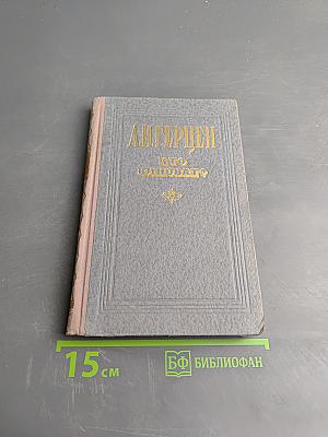 Кто виноват?