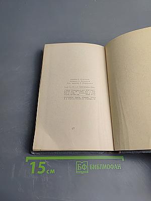 Кто виноват?