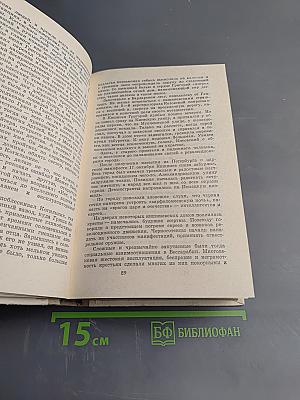 Путь в легенду. Очерк жизни Г.И. Котовского
