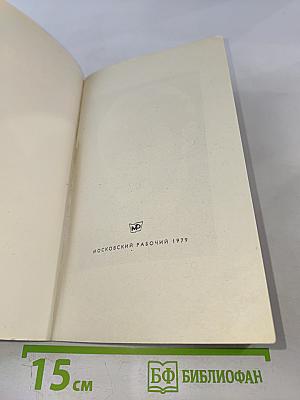 Метельная ночь