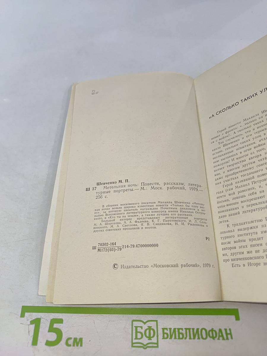 Метельная ночь