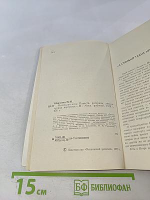 Метельная ночь