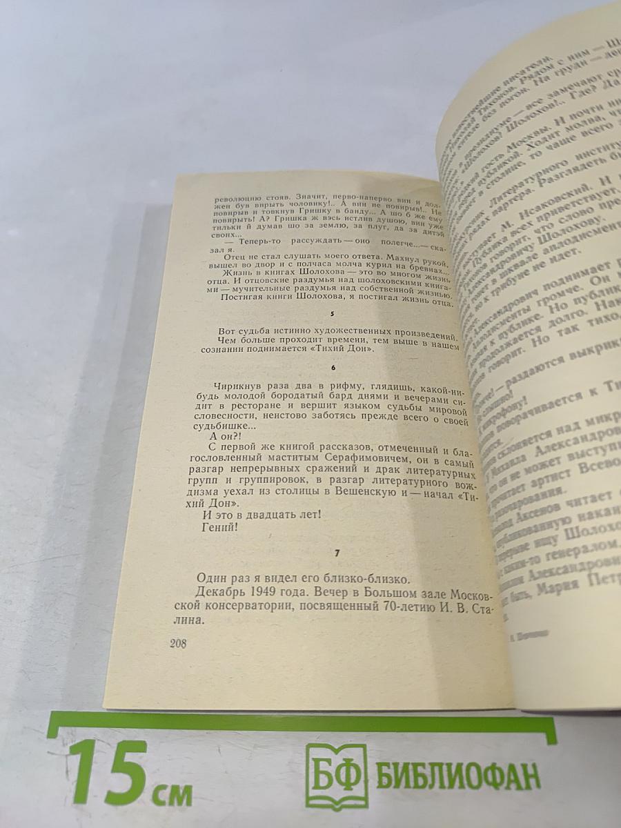 Метельная ночь