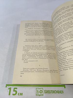 Метельная ночь