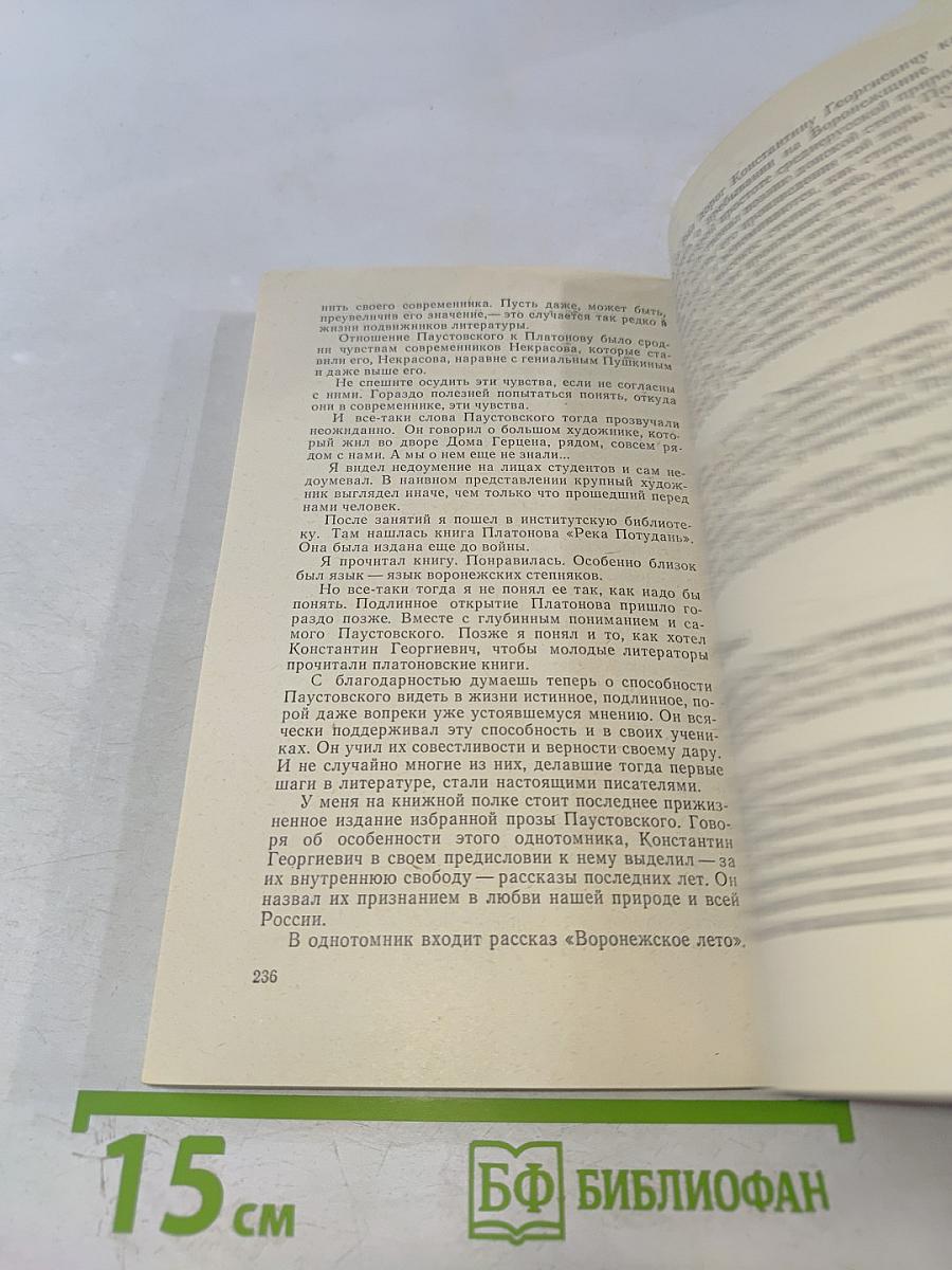 Метельная ночь