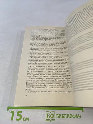 Метельная ночь