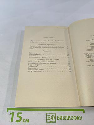 Метельная ночь