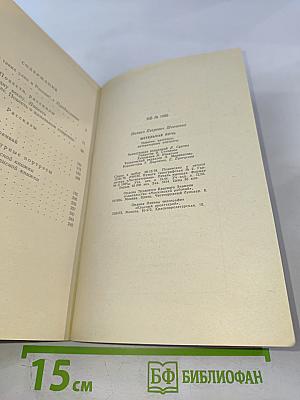 Метельная ночь