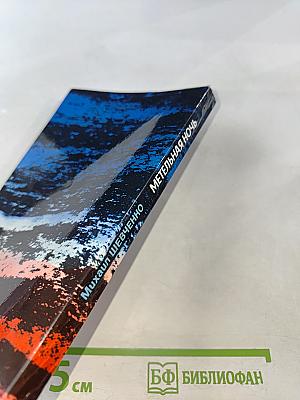 Метельная ночь