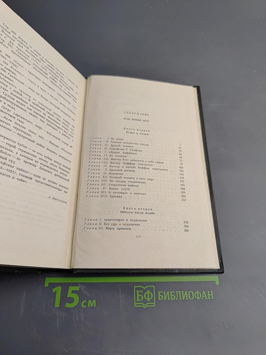 Собрание сочинений Том двадцать четвертый. Наш общий друг. Книги первая и вторая