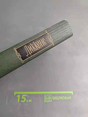 Собрание сочинений Том двадцать четвертый. Наш общий друг. Книги первая и вторая
