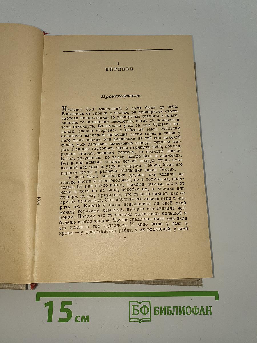 Молодые годы короля Генриха IV