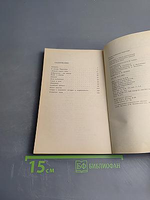 Сократ