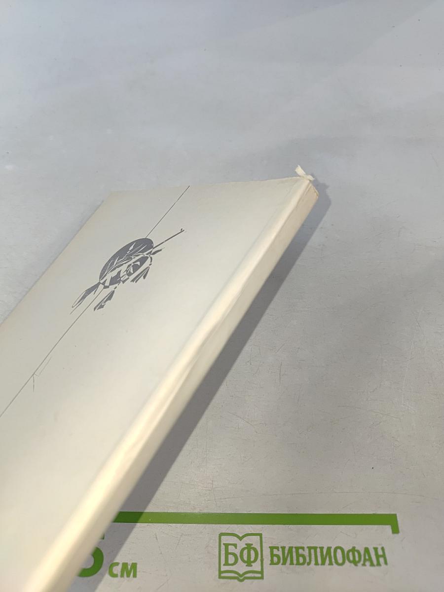 Между двух огней