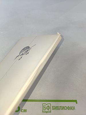 Между двух огней