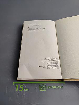 Карусель; Нас было пятеро