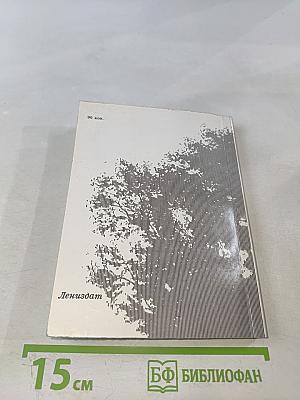 Гатчина Художественные памятники