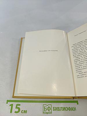 Львы стерегут город