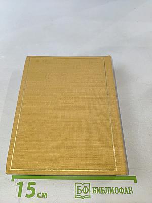 Львы стерегут город