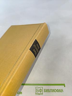 Львы стерегут город