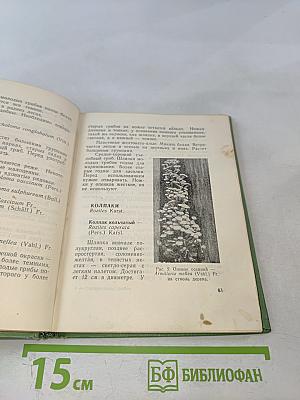 Собирателям грибов