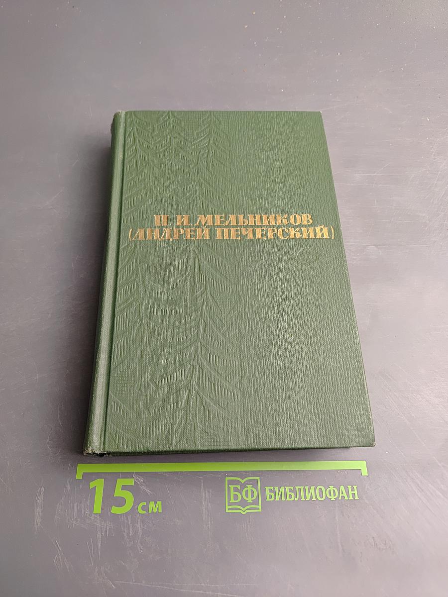 В лесах. Книга вторая (Собрание сочинений в шести томах. Том 3)
