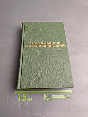 В лесах. Книга вторая (Собрание сочинений в шести томах. Том 3)