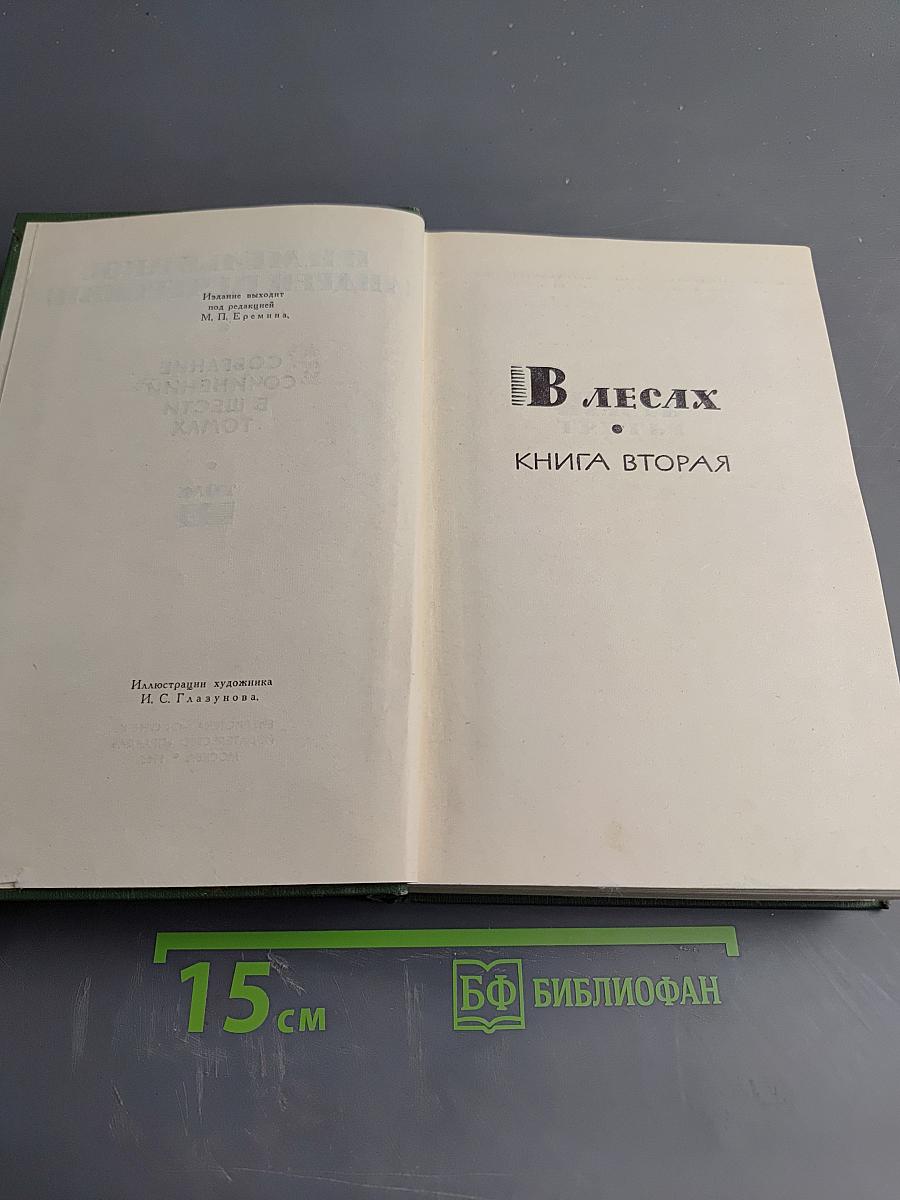 В лесах. Книга вторая (Собрание сочинений в шести томах. Том 3)