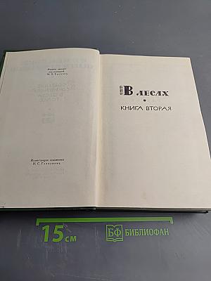 В лесах. Книга вторая (Собрание сочинений в шести томах. Том 3)