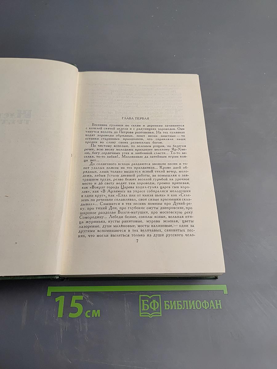 В лесах. Книга вторая (Собрание сочинений в шести томах. Том 3)