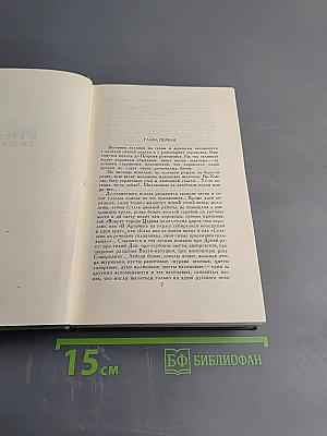 В лесах. Книга вторая (Собрание сочинений в шести томах. Том 3)