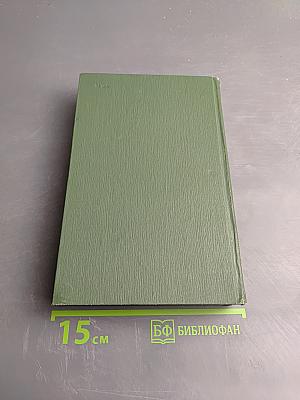 В лесах. Книга вторая (Собрание сочинений в шести томах. Том 3)