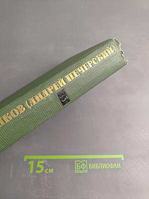 В лесах. Книга вторая (Собрание сочинений в шести томах. Том 3)