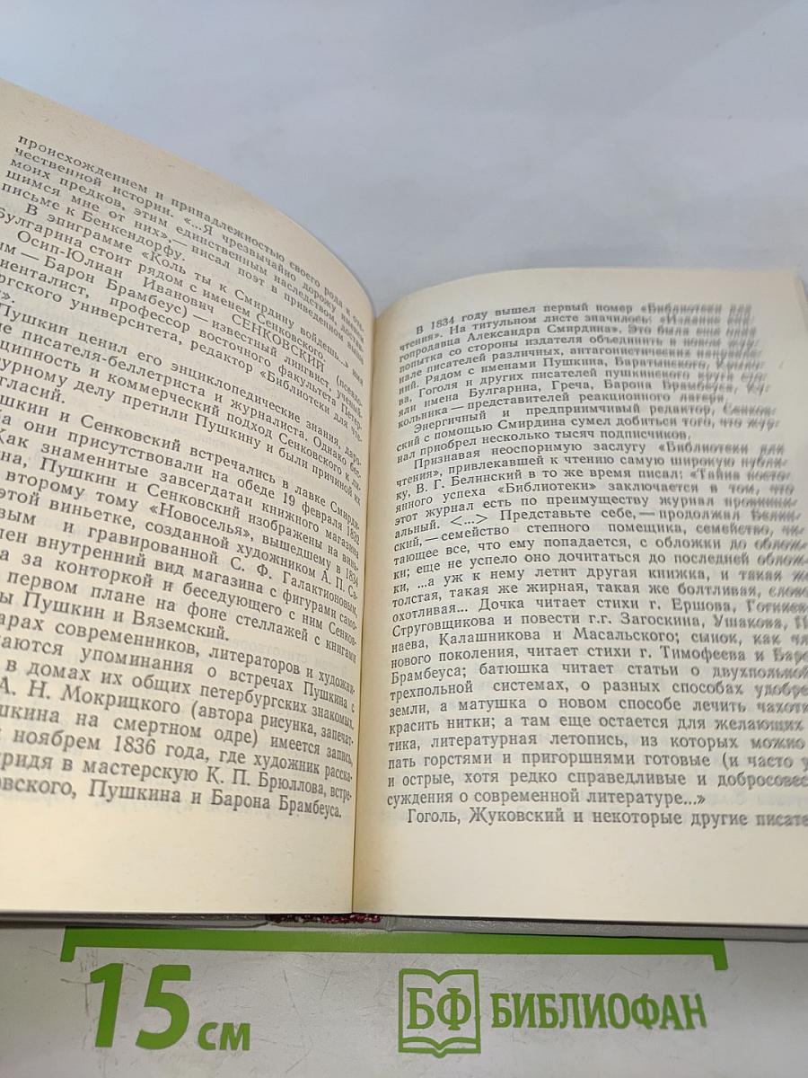 Петербургские встречи Пушкина