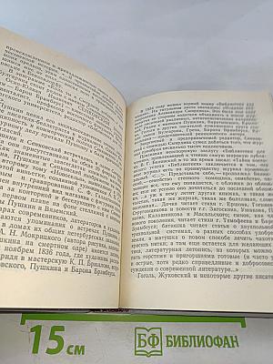 Петербургские встречи Пушкина