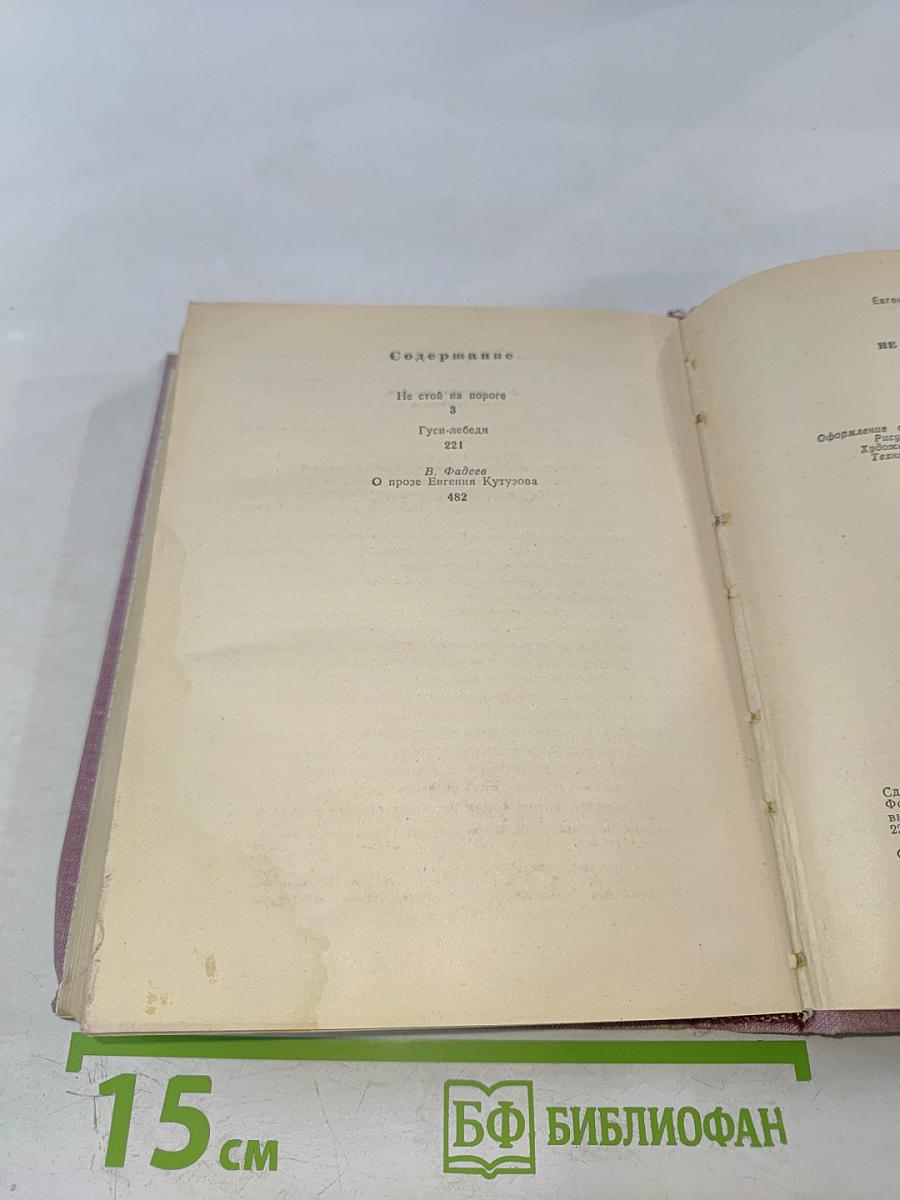 Не стой на пороге. Гуси-лебеди