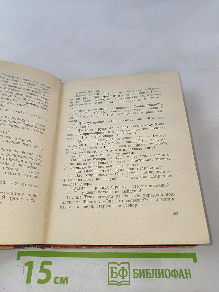 Местечко у Днепра. Повести и рассказы